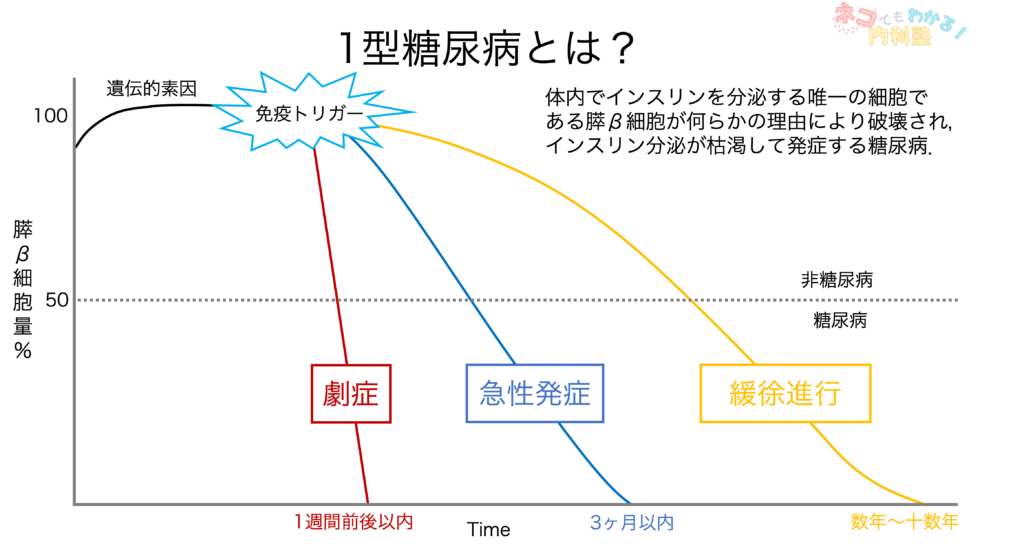 1型糖尿病とは？