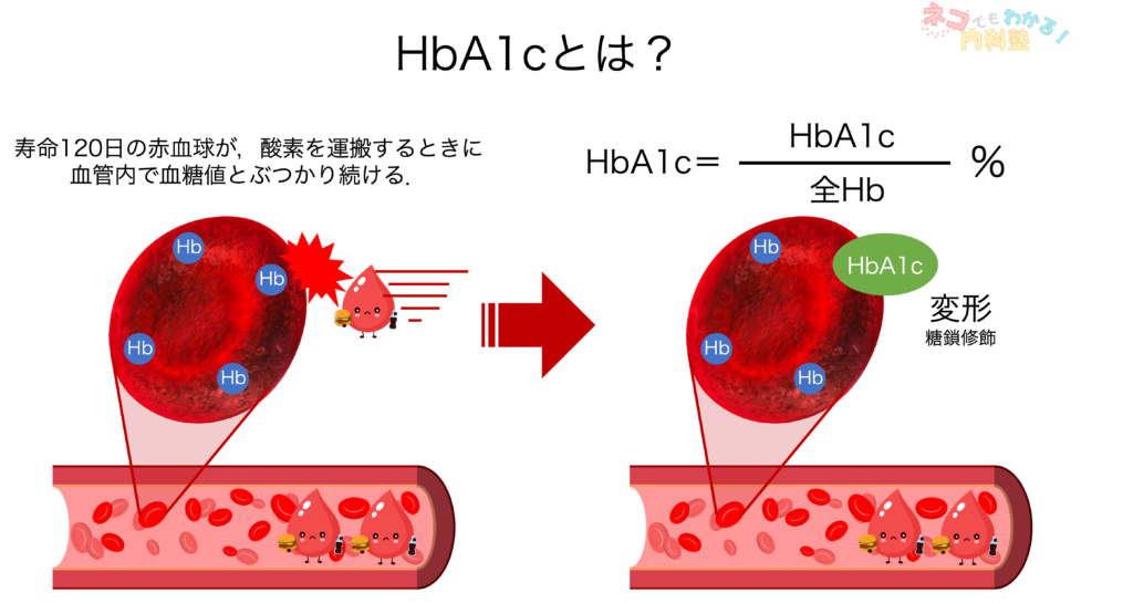 HbA1cとは1