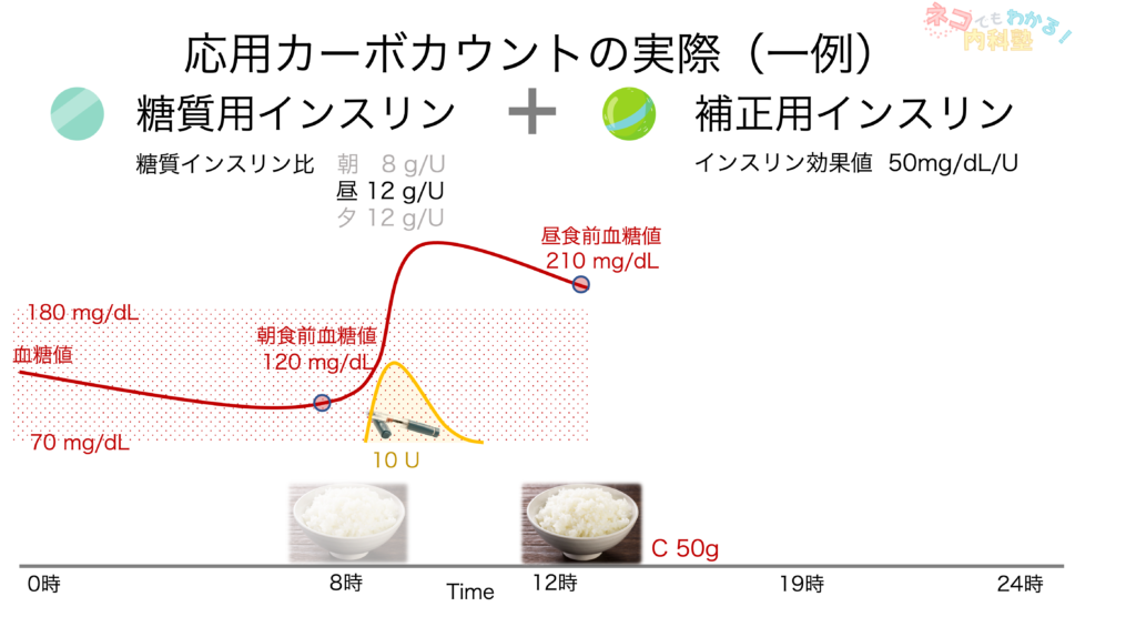 応用カーボカウントの実際2