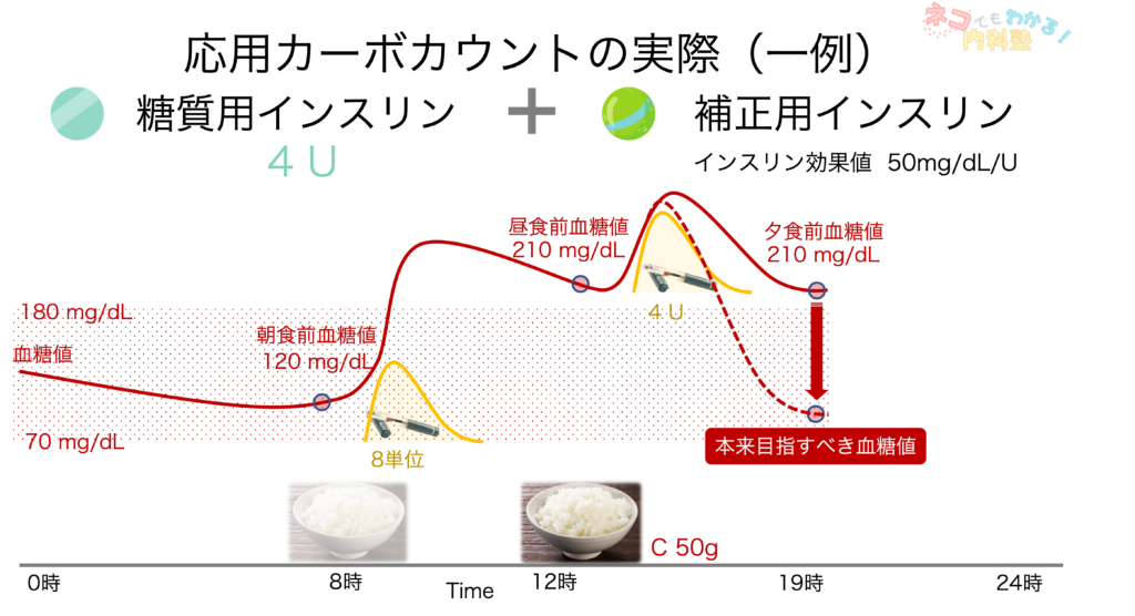 応用カーボカウントの実際3