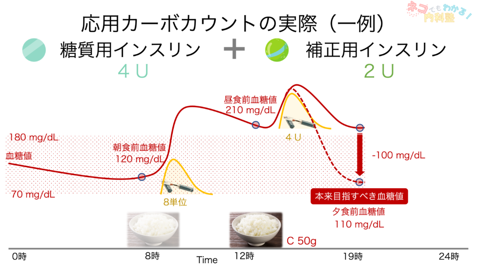 応用カーボカウントの実際4