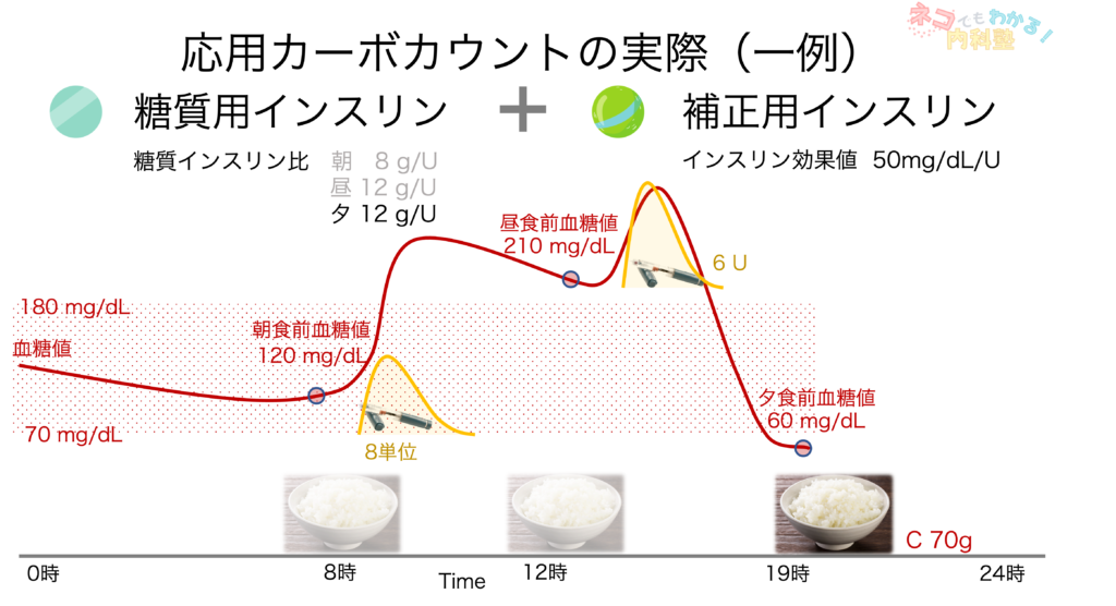 応用カーボカウントの実際5