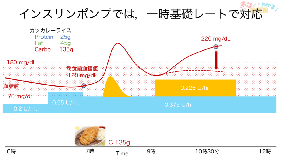 タンパク質や脂質に対して，一時基礎レートによる対応