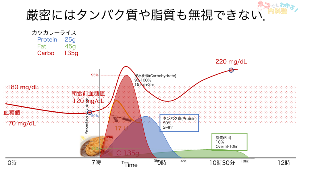 厳密にはタンパク質や脂質も無視できない．