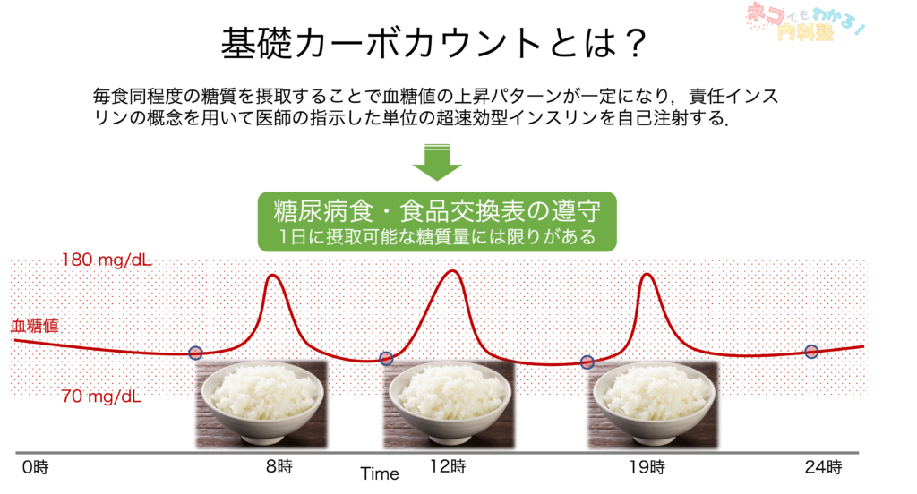 基礎カーボカウントとは？