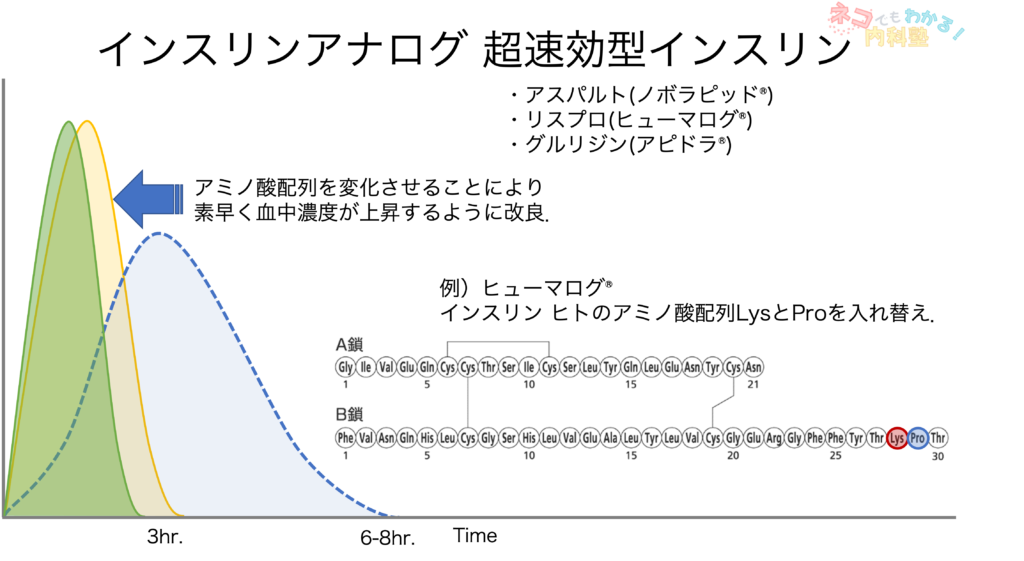 インスリンアナログ 超速効型インスリン