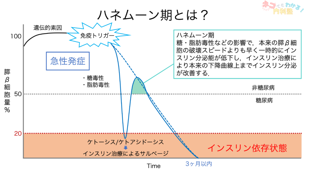 ハネムーン期