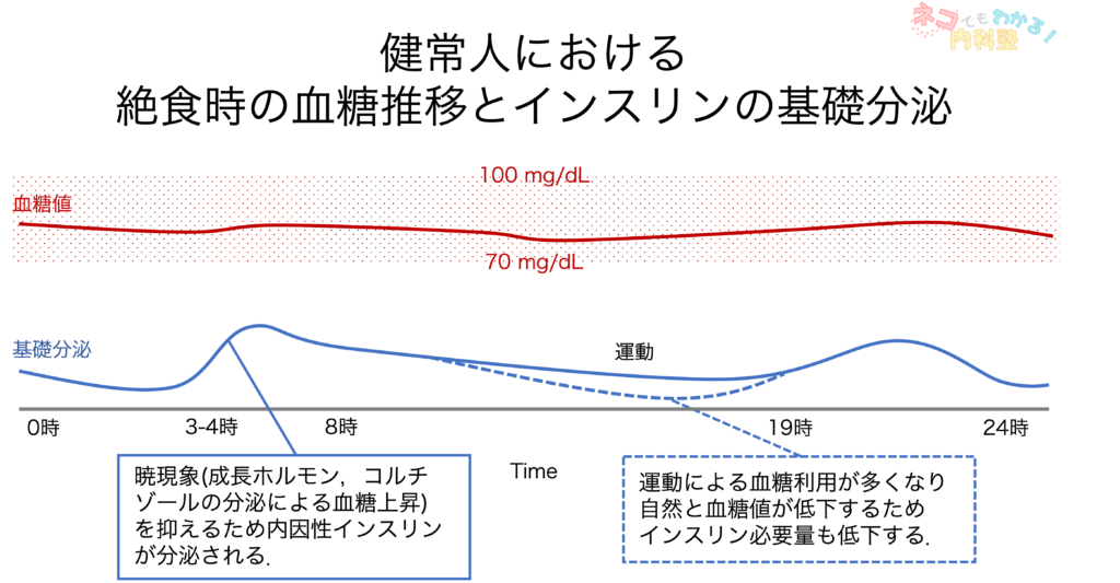 健常人の絶食時の基礎分泌