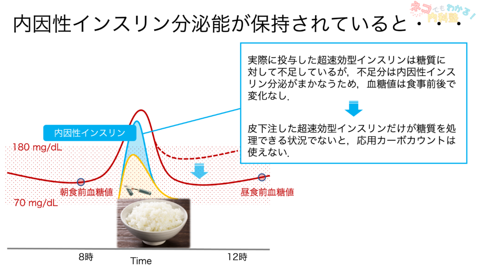 内因性インスリン分泌が保持されていると