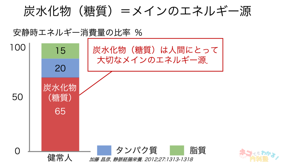 炭水化物＝メインエンジン