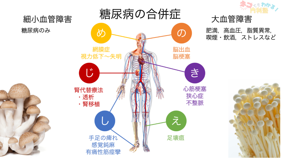 糖尿病合併症