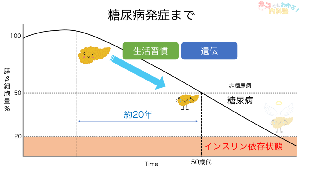 糖尿病発症まで