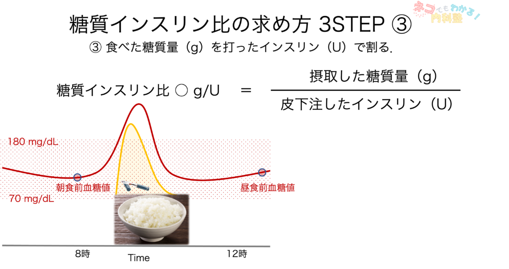 糖質インスリン比の求め方3