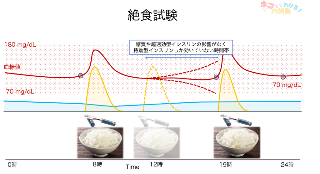 絶食試験