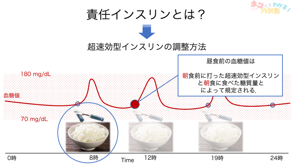 責任インスリンとは？