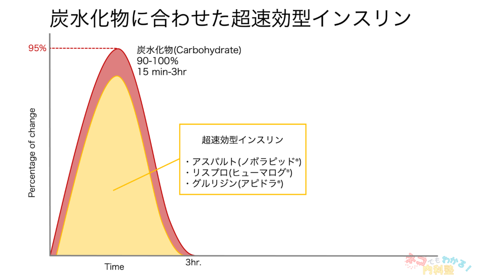 炭水化物に合わせた超速効型インスリン