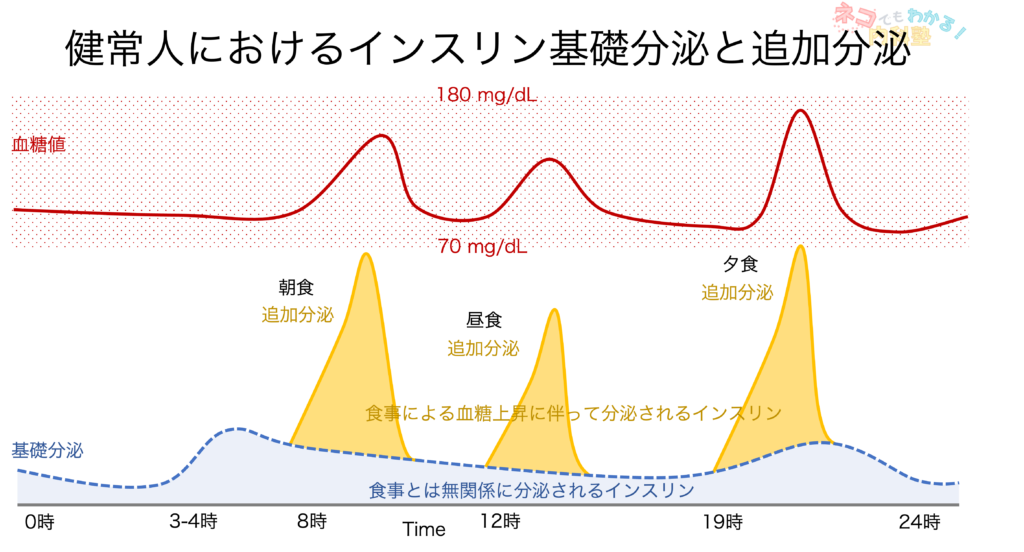 追加分泌と基礎分泌